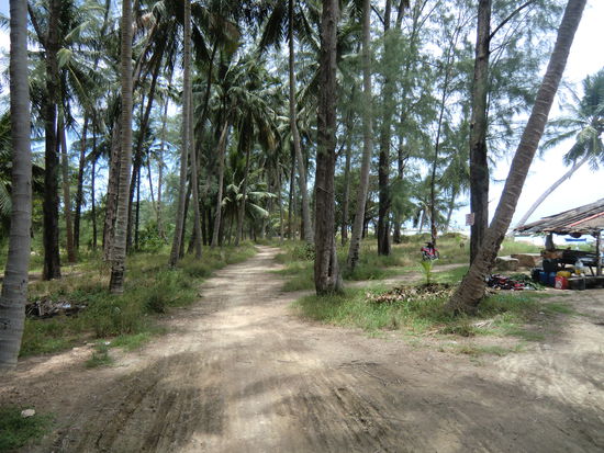 .....wir laufen weiter parallel zum Strand, bis wir an......