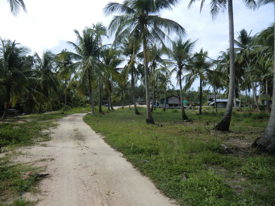 ...immer den Weg entlang...