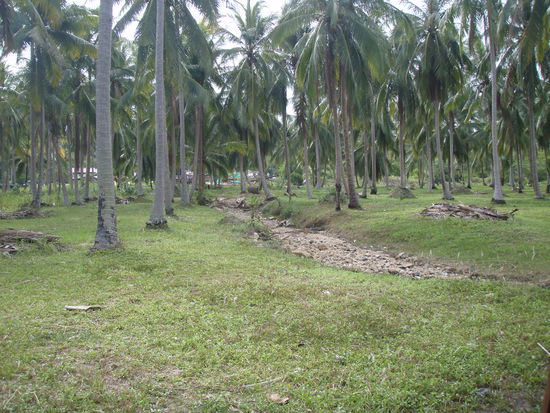 da "müssen" wir durch