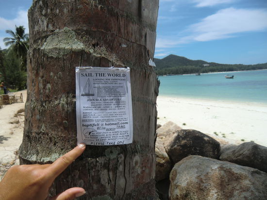 Mehrere Blöcke waren an verschiedene Bäume getackert........Segler sucht Mitreisende für Weltumsegelung....cool !!! Wollen wir mal anrufen ???