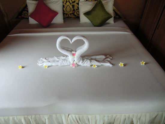 zwei verliebte Schwäne im Bett...wenn dat mal nicht ne "Sauerei" gibt.... 