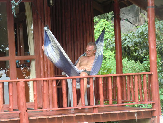 Ralle studiert das kostenlose Phangan-Heft