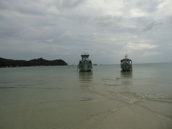 welches ist es denn nun ??