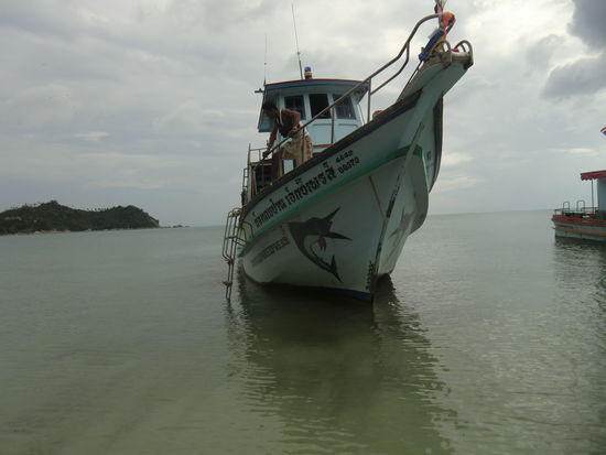 der linke, größere wird es werden..ich hab ihn fast erreicht.......