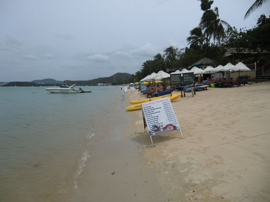 hier liegen sie in der ersten Reihe