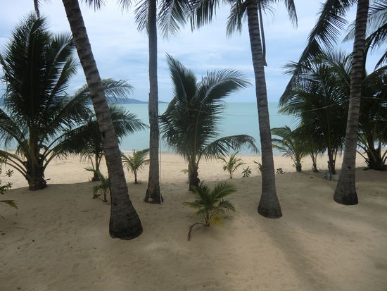 unser Ausblick vom Balkon