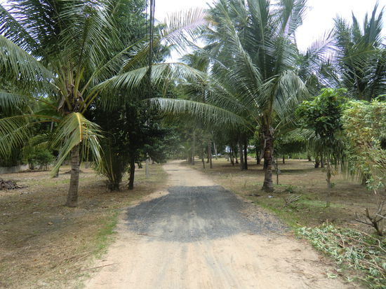Weg durch ein Resort zur Straße