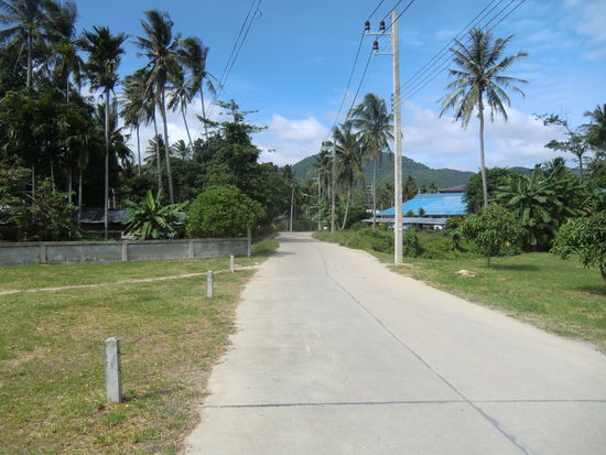 es wird immer einsamer....