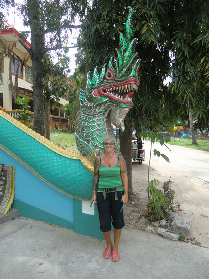 Ein Bild zwei Drachen.... .....ne, war nur ein Spaß !!!! 