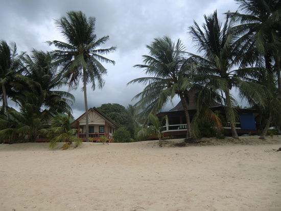 es werden immer mehr !!!