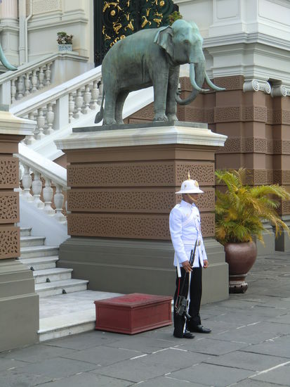der arme "Junge" muss bei 34 Grad ganz still stehen