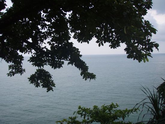 Aussicht von der Terrasse aus