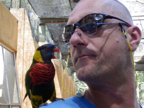 Mister 6-Auge hat nen Vogel