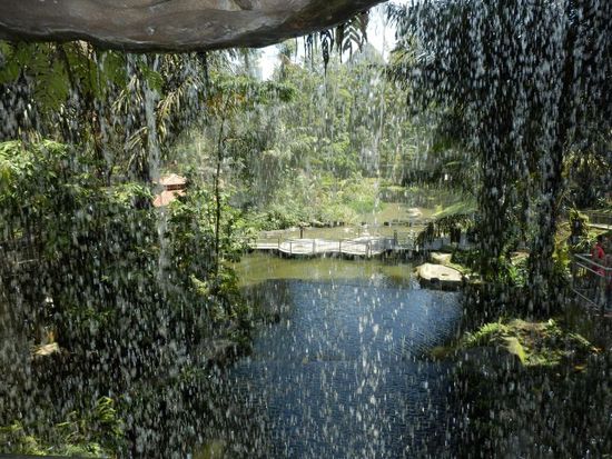 der Wasserfall von hinten