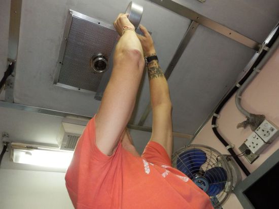 Bibo muss mal arbeiten