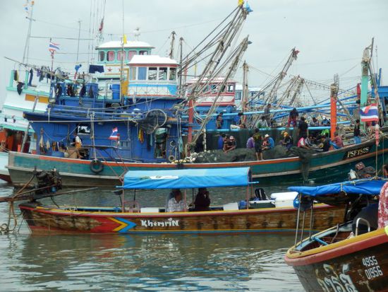 Fischereihafen Pakbara