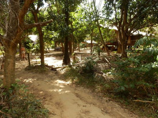 dann schon durchs Unterholz