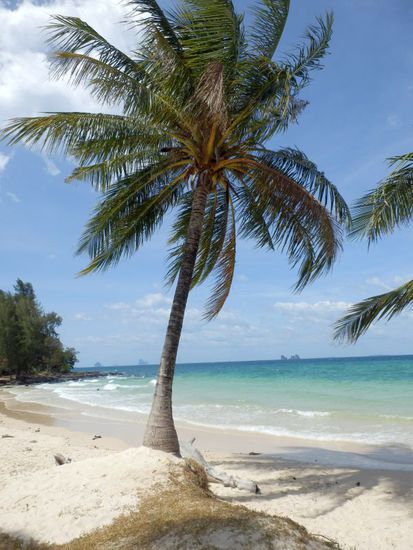 das Bild ist sehr schön, täuscht aber ein wenig