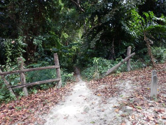 wo dieser Weg wohl hin führt ????