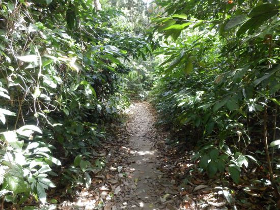 also ein Weg zu einem Resort oder schönen Strand stellt man sich anders vor !!!!