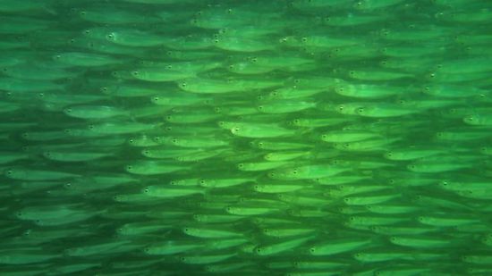 mitten drin statt nur dabei !!! 