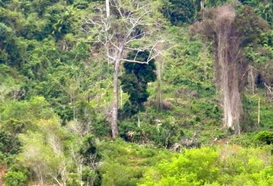 das Bild ist NICHT bearbeitet.