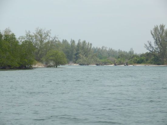 ....durch Mangrovenkanäle geht es in Richtung offenes Meer