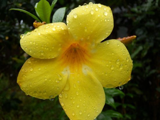 Tanja muss nochmal die Makro-Funktion testen.