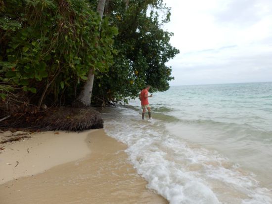 hier ist nun leider wieder einmal Ende...oder doch nicht ???