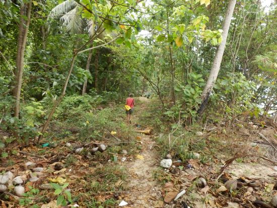 weiter geht es durch's Unterholz