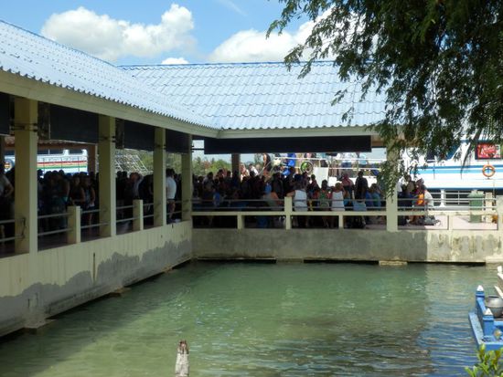 hier ist die Hölle los......ist gerade ne Fähre angekommen...