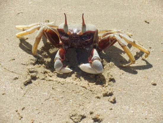 komm doch....komm doch......