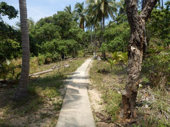 der schmale Weg zum Viewpoint 2