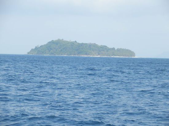 Bamboo Island