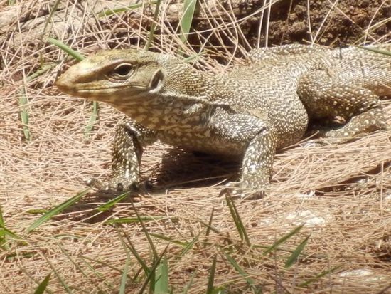 noch einmal ein wenig größer