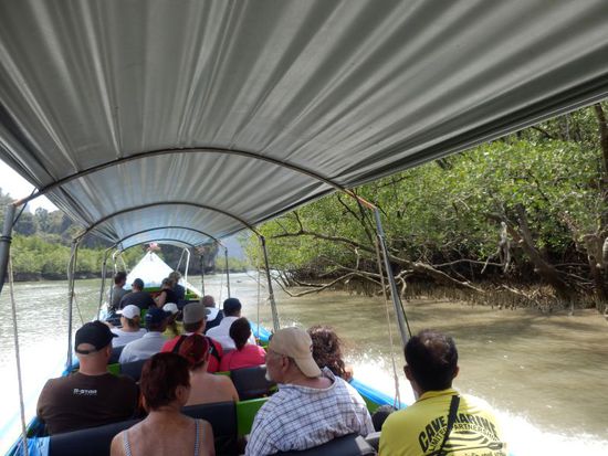 mit dem Longtail durch die Mangroven