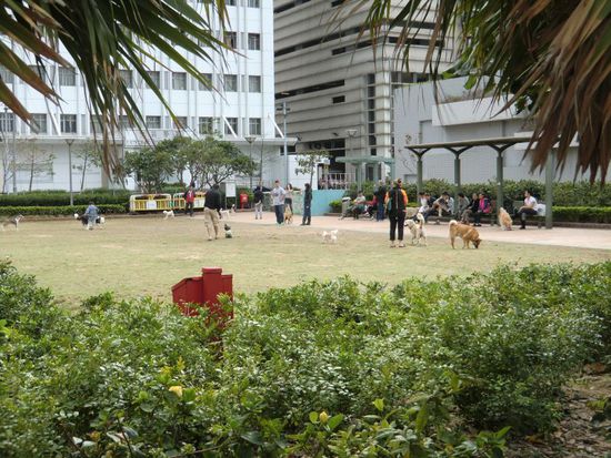 Hundeauslaufplatz in Hong Kong