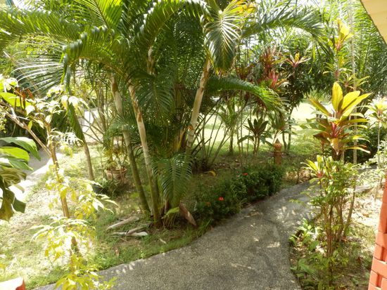 der Ausblick in den Garten