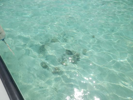 wieder einmal glasklares Wasser