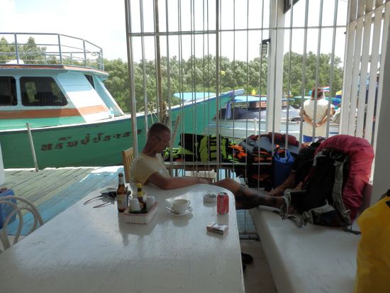 Bibo studiert mal wieder den Reiseführer