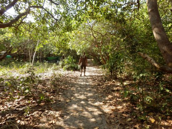der Weg zur Hauptstraße