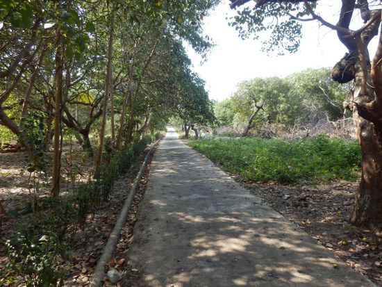 eine Hauptstraße auf der Insel