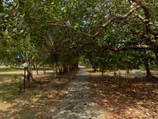 ...erst noch den Betonweg....