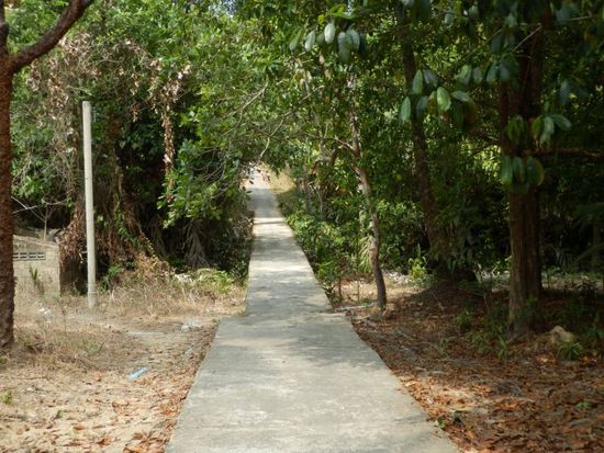 ...nochmal Betonweg....