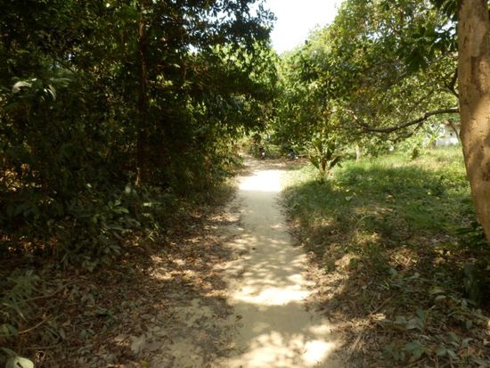 wieder ein Sandweg zum Strand