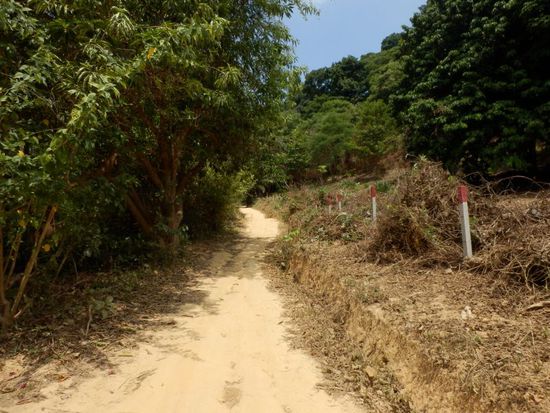 hier geht noch was mit dem Roller.....