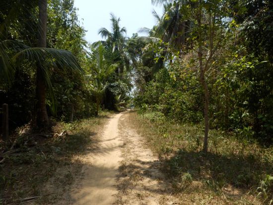 Nach der Hauptstraße ein ganz schmaler Sandweg