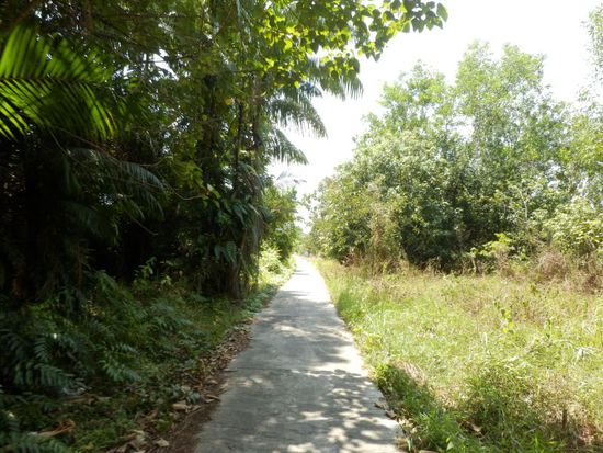 noch der Hauptweg zum June House Resort
