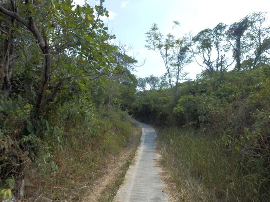 der Weg wird immer schmaler.....