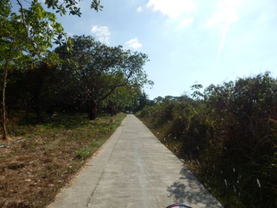 die 2,50 Meter breite Hauptstraße auf Koh Phayam